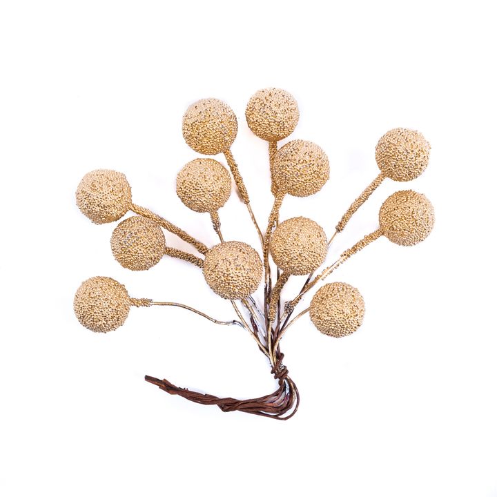 3D-Dekorationszweige mit goldenen Beeren — Bild 5