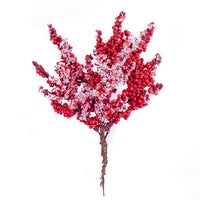 3D Dekorative Zweige mit kleinen roten Beeren — Bild 1