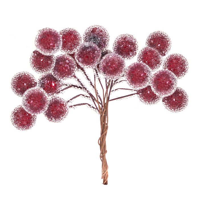 3D Dekorative Zweige mit roten Beeren — Bild 6