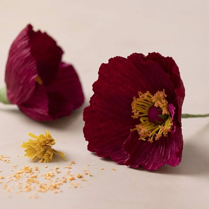 Mini-Kreativ-Set | Mohnblumen aus Krepppapier – Detailansicht 3 | ARTMIE