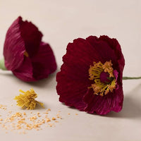 Mini-Kreativ-Set | Mohnblumen aus Krepppapier – Detailansicht 3 | ARTMIE