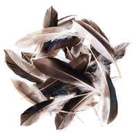 Premium Entenfedern | ARTMIE