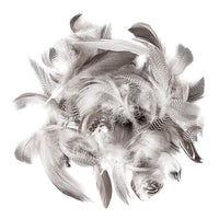 Entenfedern 5 - 12 cm / 5 g | ARTMIE