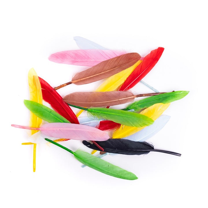 Mehrfarbige Gänsefedern 13 cm | ARTMIE