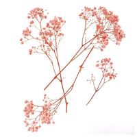Hellrosa Schleierkraut - 4 Stiele, 20 cm – Detailansicht 2 | ARTMIE