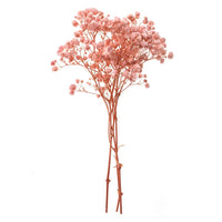 Hellrosa Schleierkraut - 4 Stiele, 20 cm | ARTMIE