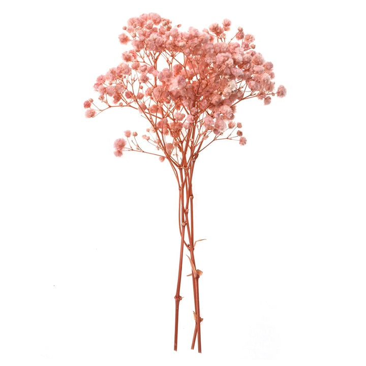 Hellrosa Schleierkraut - 4 Stiele, 20 cm | ARTMIE