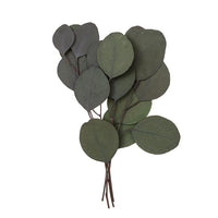 Stabilisierter Eukalyptus Populus - Grün / 4 Stämme, 20 cm | ARTMIE
