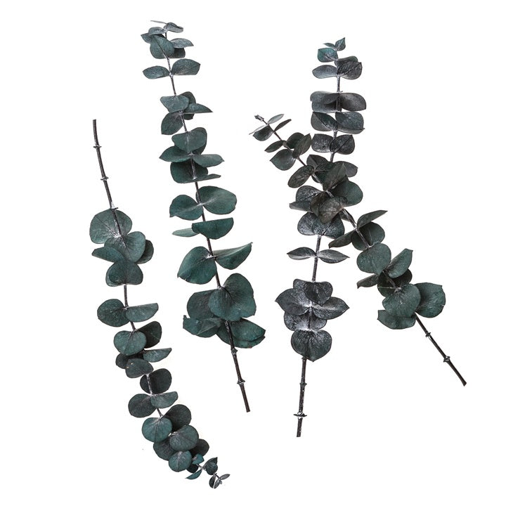 Stabilisierter Eukalyptus Baby Blau / 4 Stiele, Grün, 20 cm – Detailansicht 2 | ARTMIE