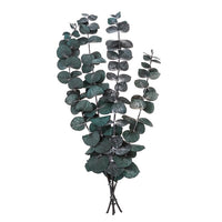 Stabilisierter Eukalyptus Baby Blau / 4 Stiele, Grün, 20 cm | ARTMIE