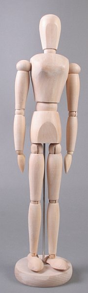 Holzmodell des menschlichen Körpers - weiblich - 40 cm | ARTMIE