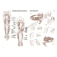 Sammlung Leonardo 04 Anatomie – Detailansicht 6 | ARTMIE