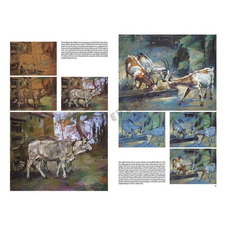 Leonardo Kollektion 13 - Tiere – Detailansicht 5 | ARTMIE