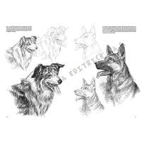 Leonardo Kollektion 13 - Tiere – Detailansicht 6 | ARTMIE
