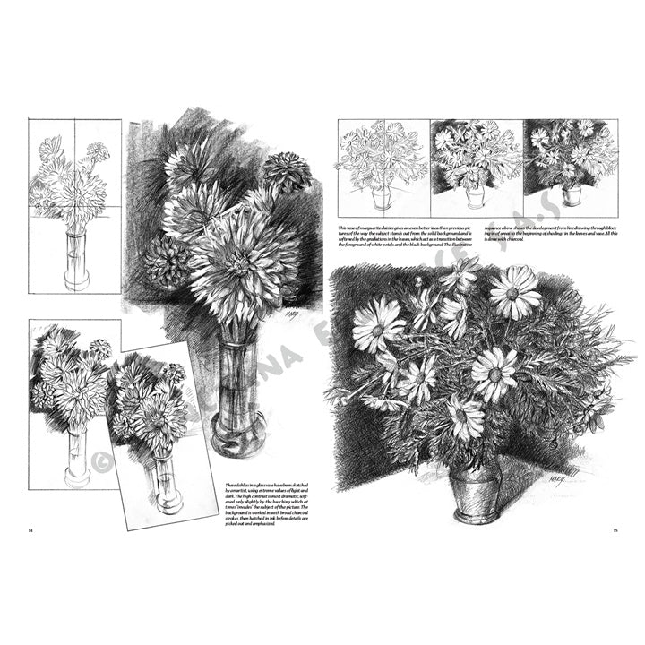 Leonardo Collection 21 Blumen Zeichenbuch – Detailansicht 3 | ARTMIE