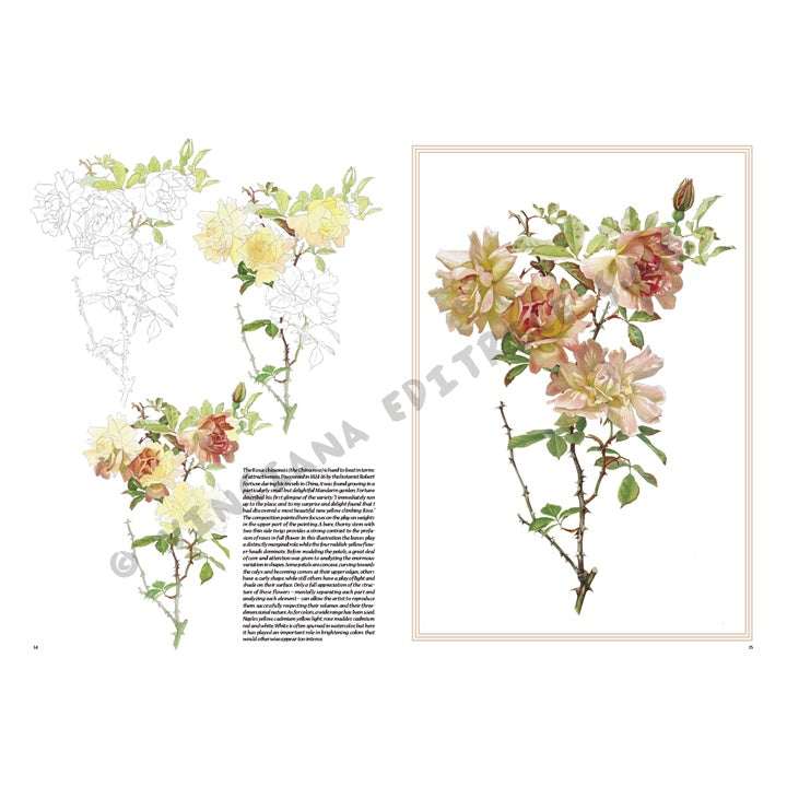 Leonardo Kollektion 42 Rosen – Detailansicht 5 | ARTMIE