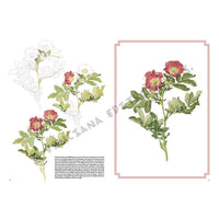 Leonardo Kollektion 42 Rosen – Detailansicht 6 | ARTMIE