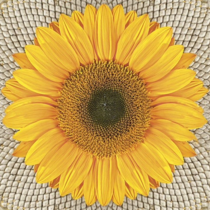 Kunstvolle Decoupage-Servietten | ARTMIE