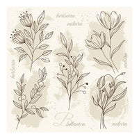 Beige Blumen Illustration Decoupage Servietten | ARTMIE