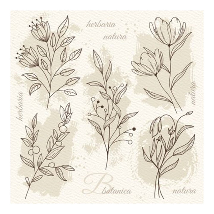 Beige Blumen Illustration Decoupage Servietten | ARTMIE