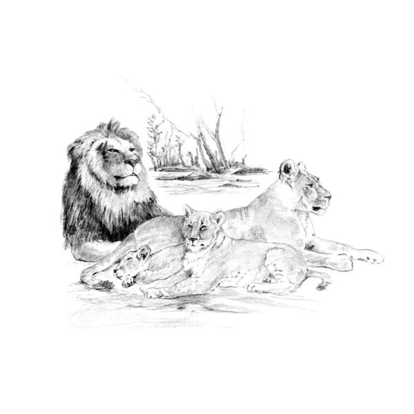 Royal & Langnickel Skizzenset – Löwen
