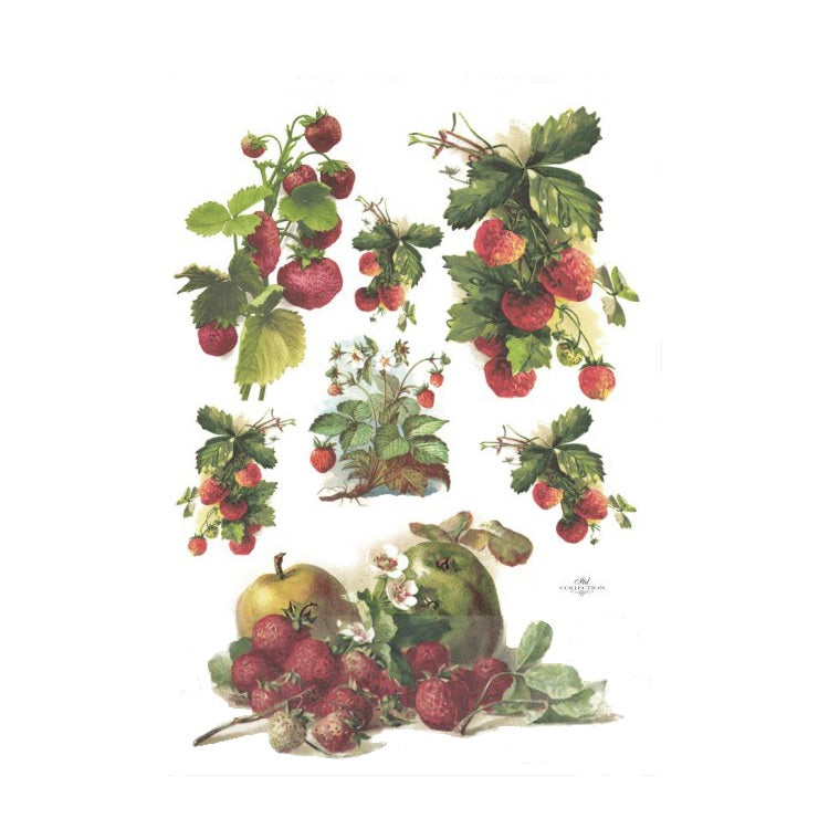 A4-Reispapier - Erdbeeren von ITD — Bild 1