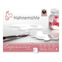 Hahnemühle Expression Aquarellpapier | verschiedene Formate