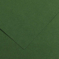 CANSON Iris Vivaldi Buntpapier 70 x 100 cm 240 g 25 Blatt – Tanne 31