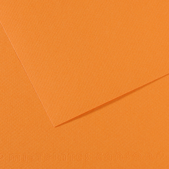 Canson Mi-Teintes Pastellpapier 50 x 65 cm 160 g 25 Blatt – Buff 384