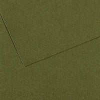 Canson Mi-Teintes Pastellpapier 50 x 65 cm 160 g 25 Blatt – Efeu 448