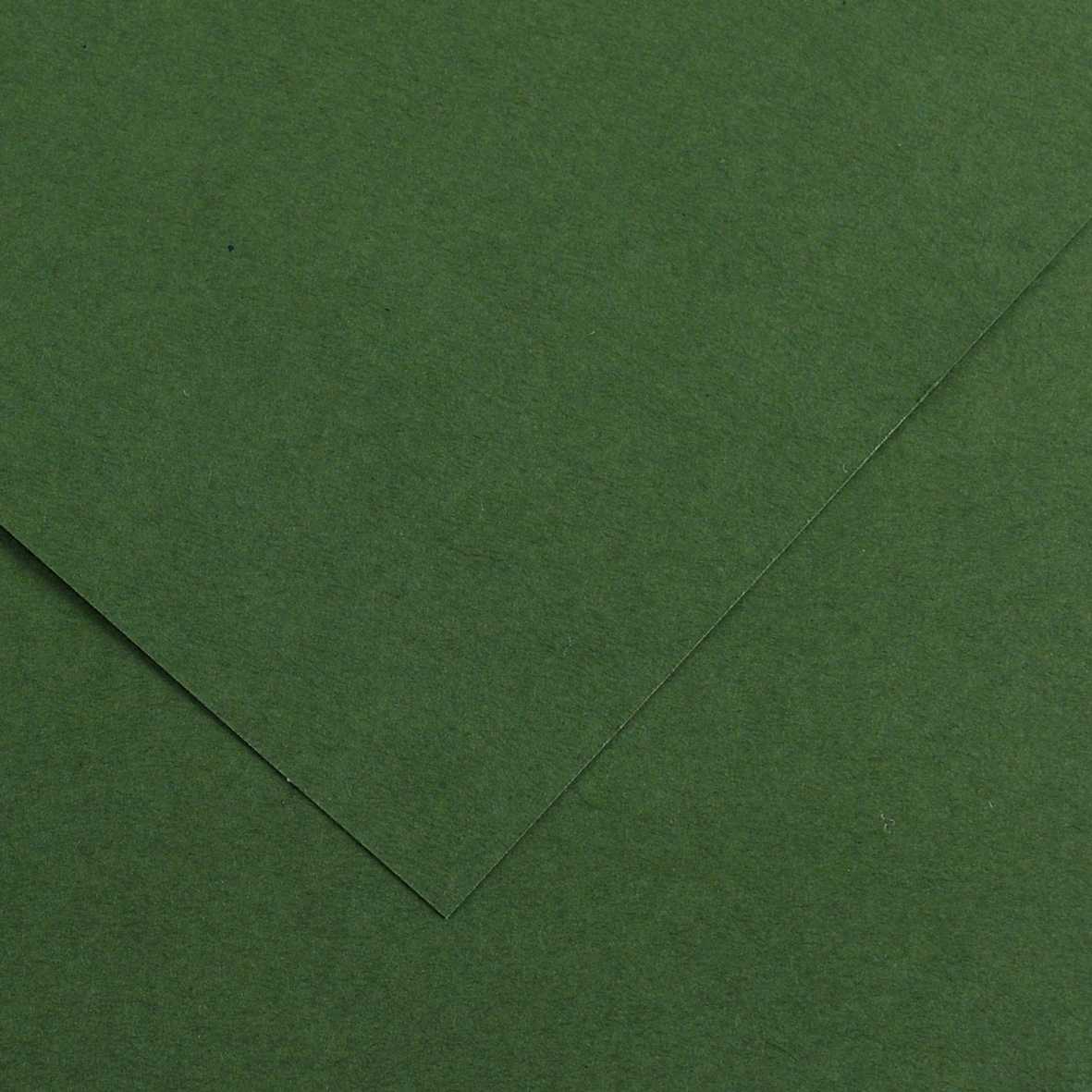Farbpapier CANSON Vivaldi A3 185 g - 50 Blatt – Tannengrün 31