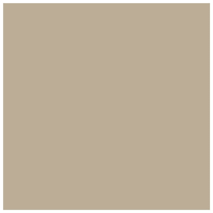 Pentart Chalky Dekorationsfarbe 500 ml | verschiedene Farbtöne | Cappuccino