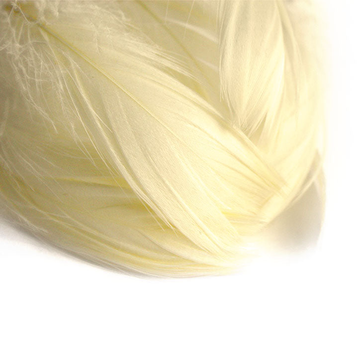 Dekorative Schmuckfedern 190 Stk. | verschiedene Farben | creme