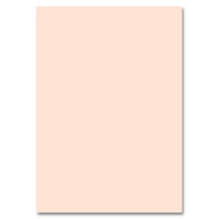 Fotokarton 50x70 cm – Rosa