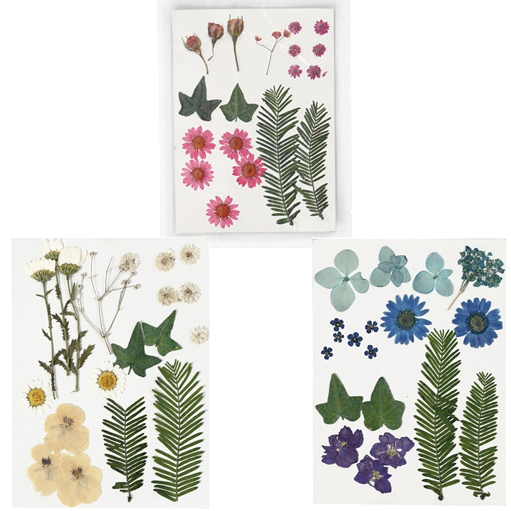 Gepresste Blumen und Blätter | verschiedene Varianten