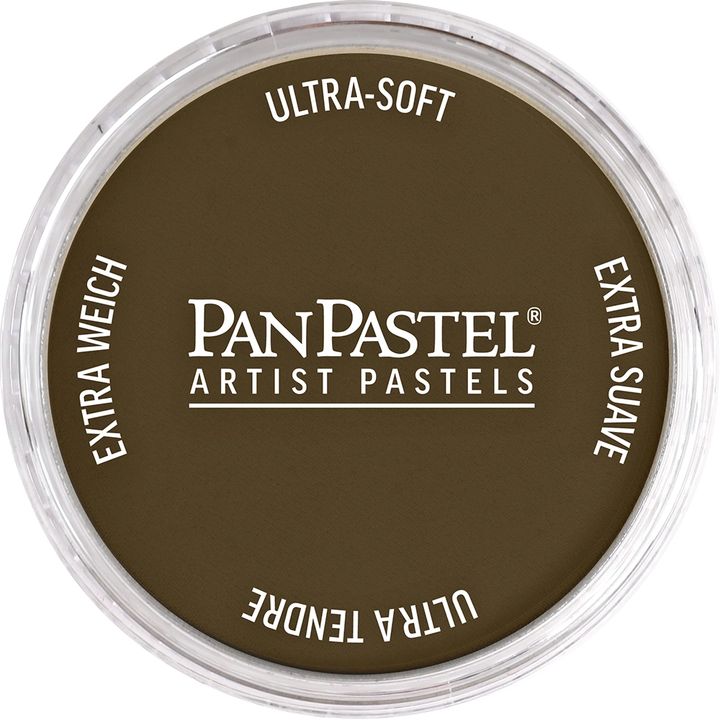PanPastel Trockenpastell 9 ml – 780.5 Umbra Natur