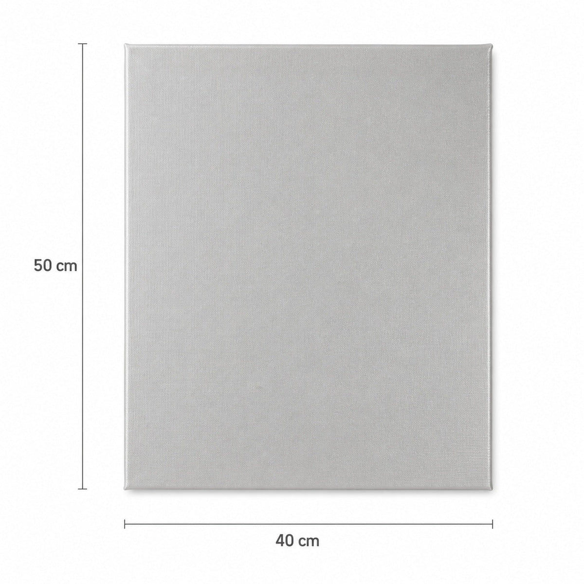 Phoenix Keilrahmenleinwand silber-metallic 40 x 50 cm