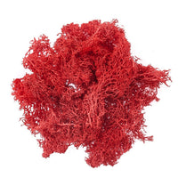 Natürliches Rentier-Moos 30 g | verschiedene Farben | rot