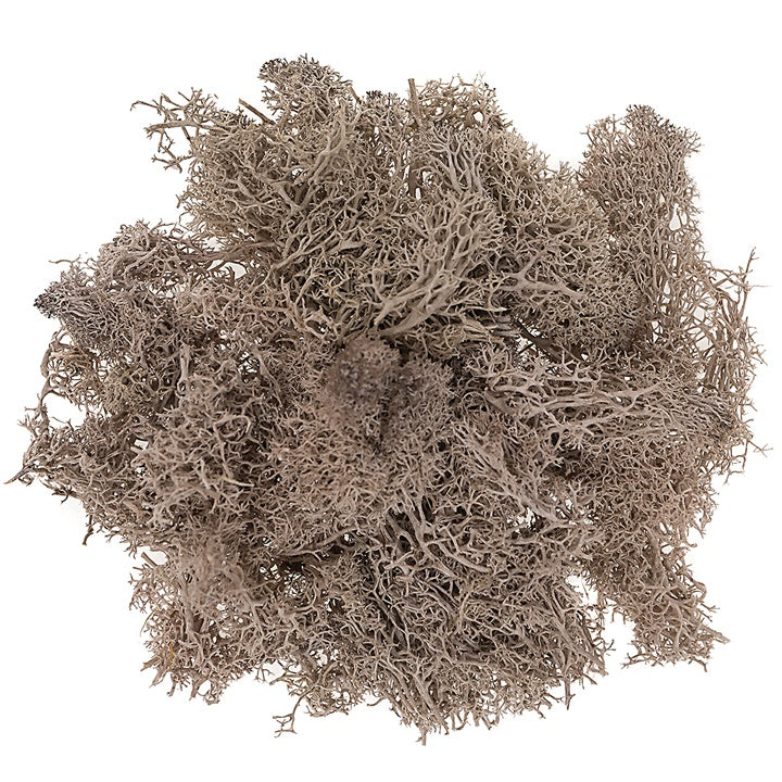 Natürliches Rentier-Moos 30 g | verschiedene Farben — Bild 4