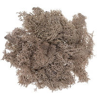Natürliches Rentier-Moos 30 g | verschiedene Farben — Bild 4