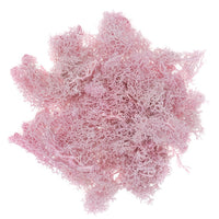 Natürliches Rentier-Moos 30 g | verschiedene Farben — Bild 6