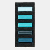 ROYAL TALENS Rembrandt Softpastelle Set Cool Greens 5er