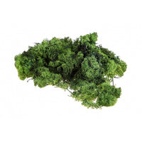 Stabilisiertes Islandmoos 500g | verschiedene Farben — Bild 1