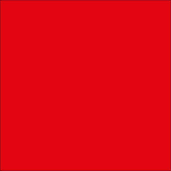 Pentart Flüssigpigmente 10 ml | verschiedene Farbtöne | rot