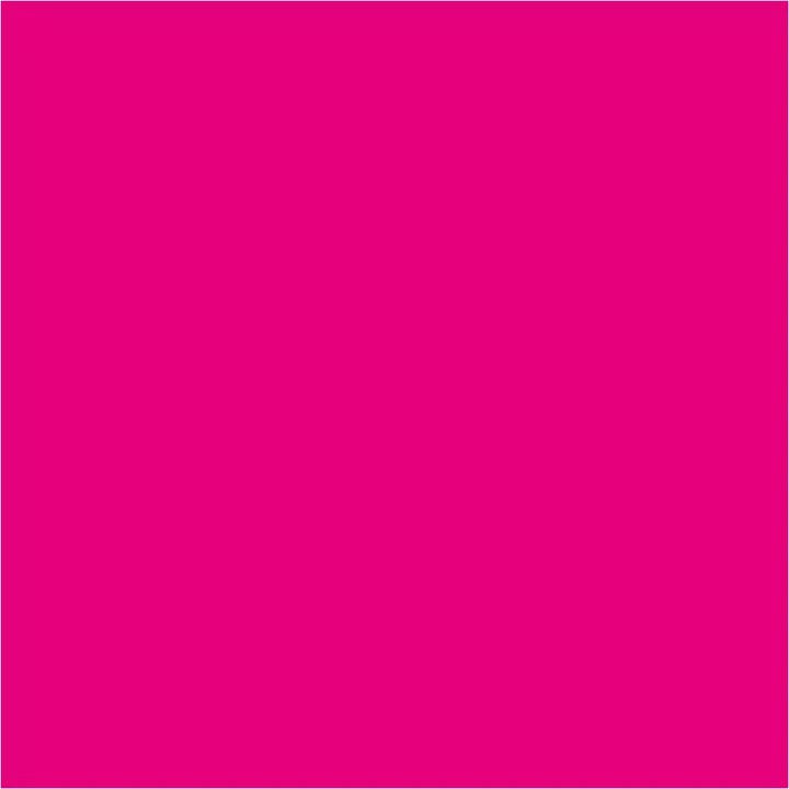 Pentart Flüssigpigmente 10 ml | verschiedene Farbtöne | magenta
