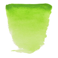ROYAL TALENS Van Gogh Aquarellfarbe 10 ml Permanent Yellowish Green