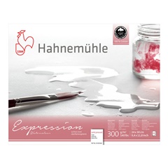 Hahnemühle Expression Aquarellpapier | Verschiedene Größen